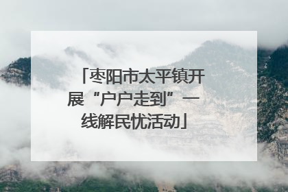 枣阳市太平镇开展“户户走到”一线解民忧活动