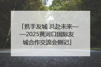 携手友城 共赴未来——2025黄河口国际友城合作交流会侧记