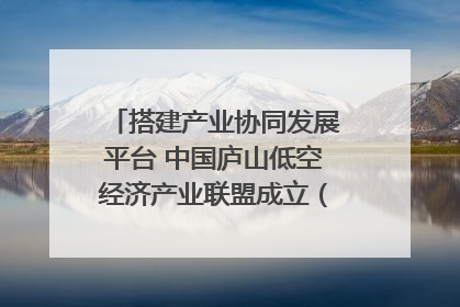 搭建产业协同发展平台 中国庐山低空经济产业联盟成立（组图｜视频）