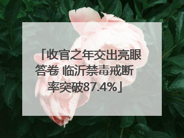 收官之年交出亮眼答卷 临沂禁毒戒断率突破87.4%