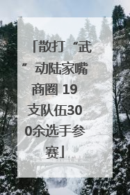 散打“武”动陆家嘴商圈 19支队伍300余选手参赛