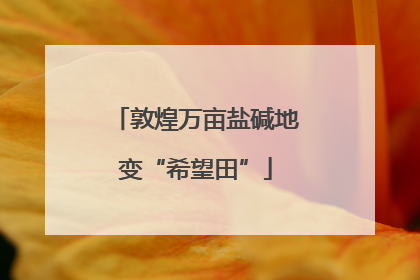 敦煌万亩盐碱地变“希望田”