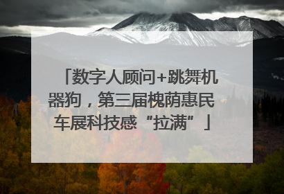 数字人顾问+跳舞机器狗，第三届槐荫惠民车展科技感“拉满”
