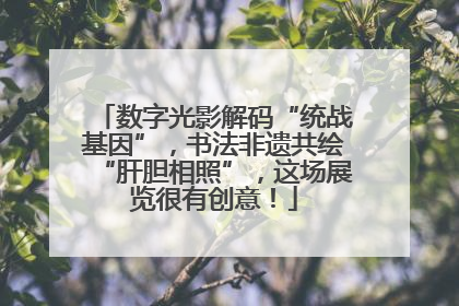 数字光影解码“统战基因”，书法非遗共绘“肝胆相照”，这场展览很有创意！
