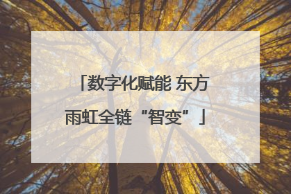 数字化赋能 东方雨虹全链“智变”
