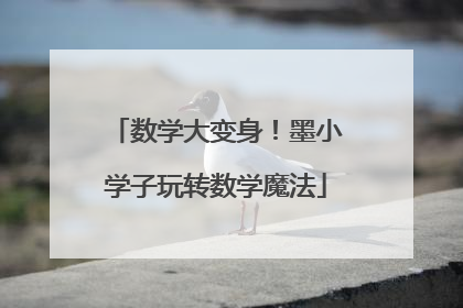 数学大变身！墨小学子玩转数学魔法