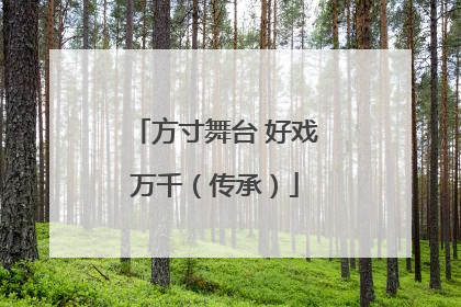 方寸舞台 好戏万千（传承）