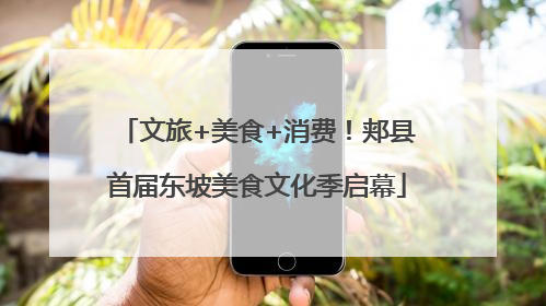 文旅+美食+消费！郏县首届东坡美食文化季启幕