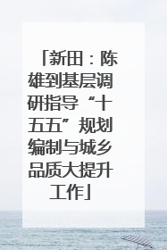 新田：陈雄到基层调研指导“十五五”规划编制与城乡品质大提升工作