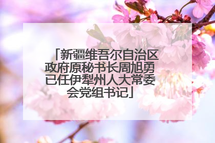新疆维吾尔自治区政府原秘书长周旭勇已任伊犁州人大常委会党组书记