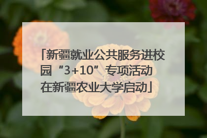 新疆就业公共服务进校园“3+10”专项活动在新疆农业大学启动