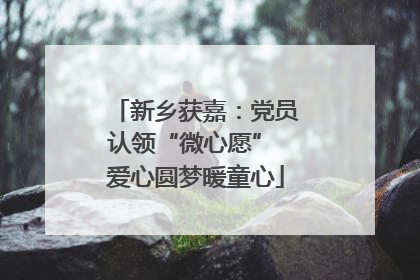 新乡获嘉：党员认领“微心愿” 爱心圆梦暖童心
