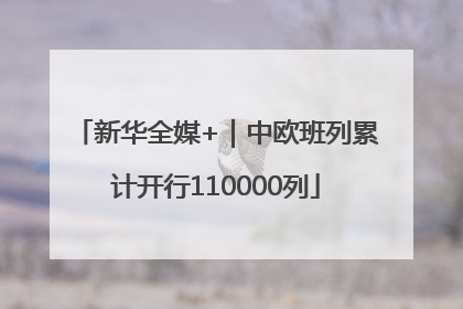 新华全媒+｜中欧班列累计开行110000列