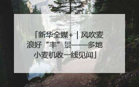 新华全媒+｜风吹麦浪好“丰”景——多地小麦机收一线见闻