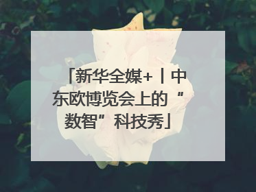 新华全媒+丨中东欧博览会上的“数智”科技秀