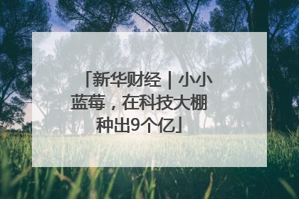 新华财经｜小小蓝莓，在科技大棚种出9个亿