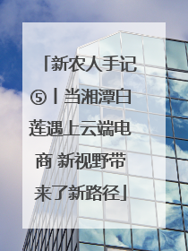 新农人手记⑤丨当湘潭白莲遇上云端电商 新视野带来了新路径