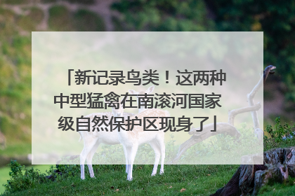 新记录鸟类！这两种中型猛禽在南滚河国家级自然保护区现身了