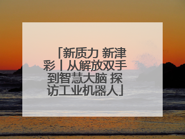 新质力 新津彩丨从解放双手到智慧大脑 探访工业机器人