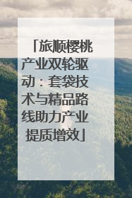 旅顺樱桃产业双轮驱动：套袋技术与精品路线助力产业提质增效