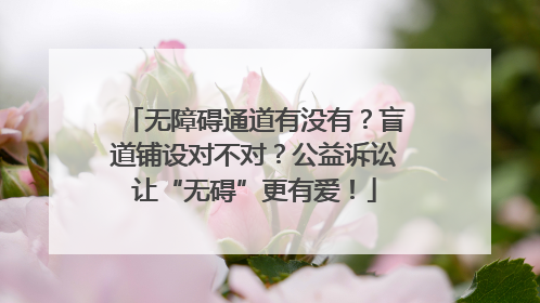 无障碍通道有没有?盲道铺设对不对?公益诉讼让“无碍”更有爱!