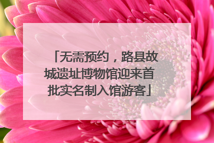 无需预约，路县故城遗址博物馆迎来首批实名制入馆游客