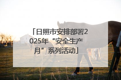 日照市安排部署2025年“安全生产月”系列活动