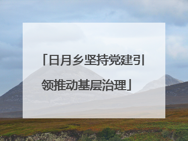 日月乡坚持党建引领推动基层治理