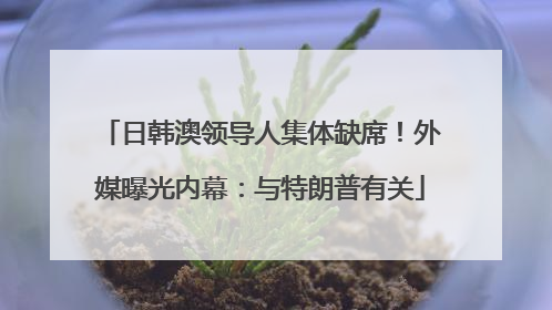 日韩澳领导人集体缺席！外媒曝光内幕：与特朗普有关