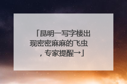 昆明一写字楼出现密密麻麻的飞虫，专家提醒→
