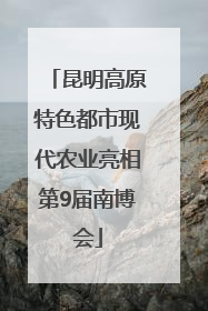 昆明高原特色都市现代农业亮相第9届南博会