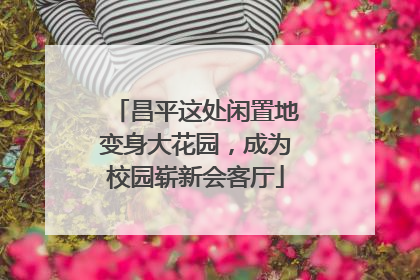 昌平这处闲置地变身大花园，成为校园崭新会客厅
