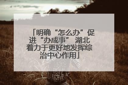 明确“怎么办”促进“办成事” 湖北着力于更好地发挥综治中心作用