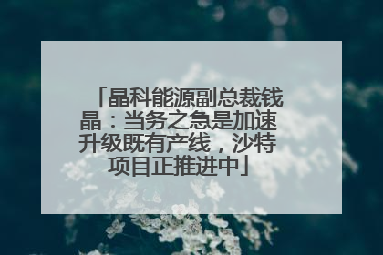 晶科能源副总裁钱晶：当务之急是加速升级既有产线，沙特项目正推进中