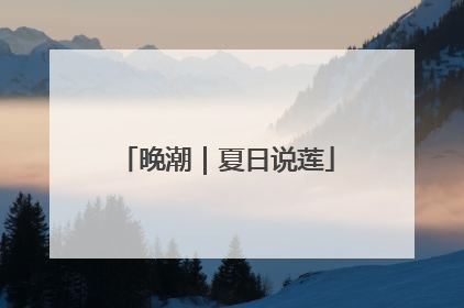 晚潮｜夏日说莲