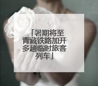 暑期将至 青藏铁路加开多趟临时旅客列车
