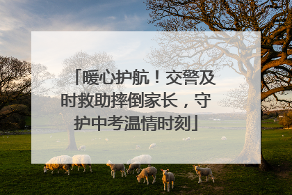 暖心护航！交警及时救助摔倒家长，守护中考温情时刻