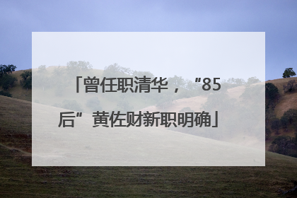 曾任职清华，“85后”黄佐财新职明确