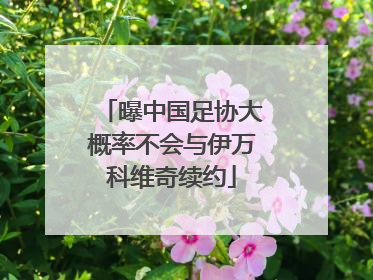曝中国足协大概率不会与伊万科维奇续约