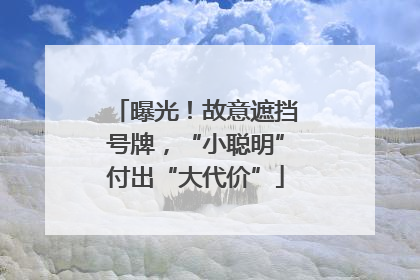 曝光！故意遮挡号牌，“小聪明”付出“大代价”