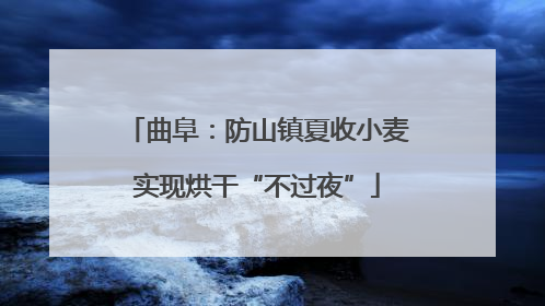 曲阜：防山镇夏收小麦实现烘干“不过夜”