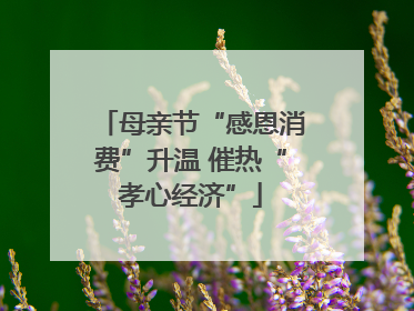 母亲节“感恩消费”升温 催热“孝心经济”