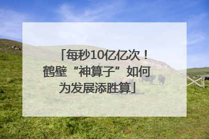 每秒10亿亿次！鹤壁“神算子”如何为发展添胜算