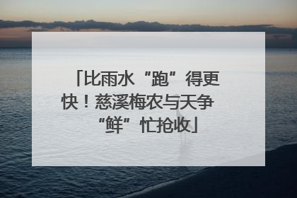 比雨水“跑”得更快！慈溪梅农与天争“鲜”忙抢收