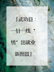 武功县：一针一线“绣”出就业新图景