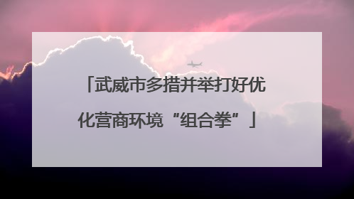 武威市多措并举打好优化营商环境“组合拳”