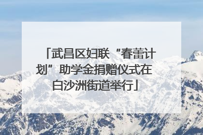 武昌区妇联“春蕾计划”助学金捐赠仪式在白沙洲街道举行