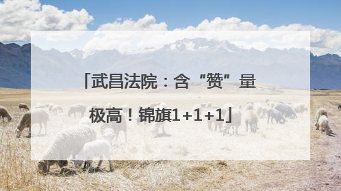 武昌法院：含“赞”量极高！锦旗1+1+1
