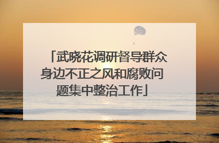 武晓花调研督导群众身边不正之风和腐败问题集中整治工作