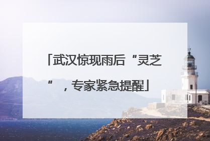 武汉惊现雨后“灵芝”，专家紧急提醒